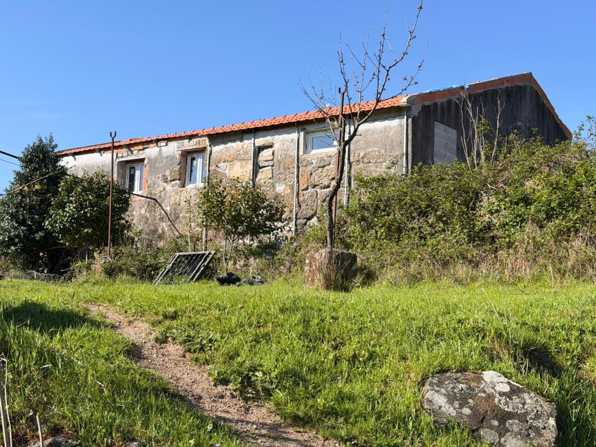 whatsapp-image-2026-03-23-at-153654-15jpeg