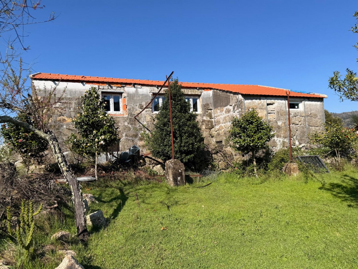 whatsapp-image-2026-03-23-at-153654-21jpeg