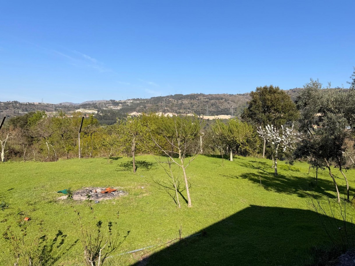 whatsapp-image-2026-03-23-at-153654-23jpeg