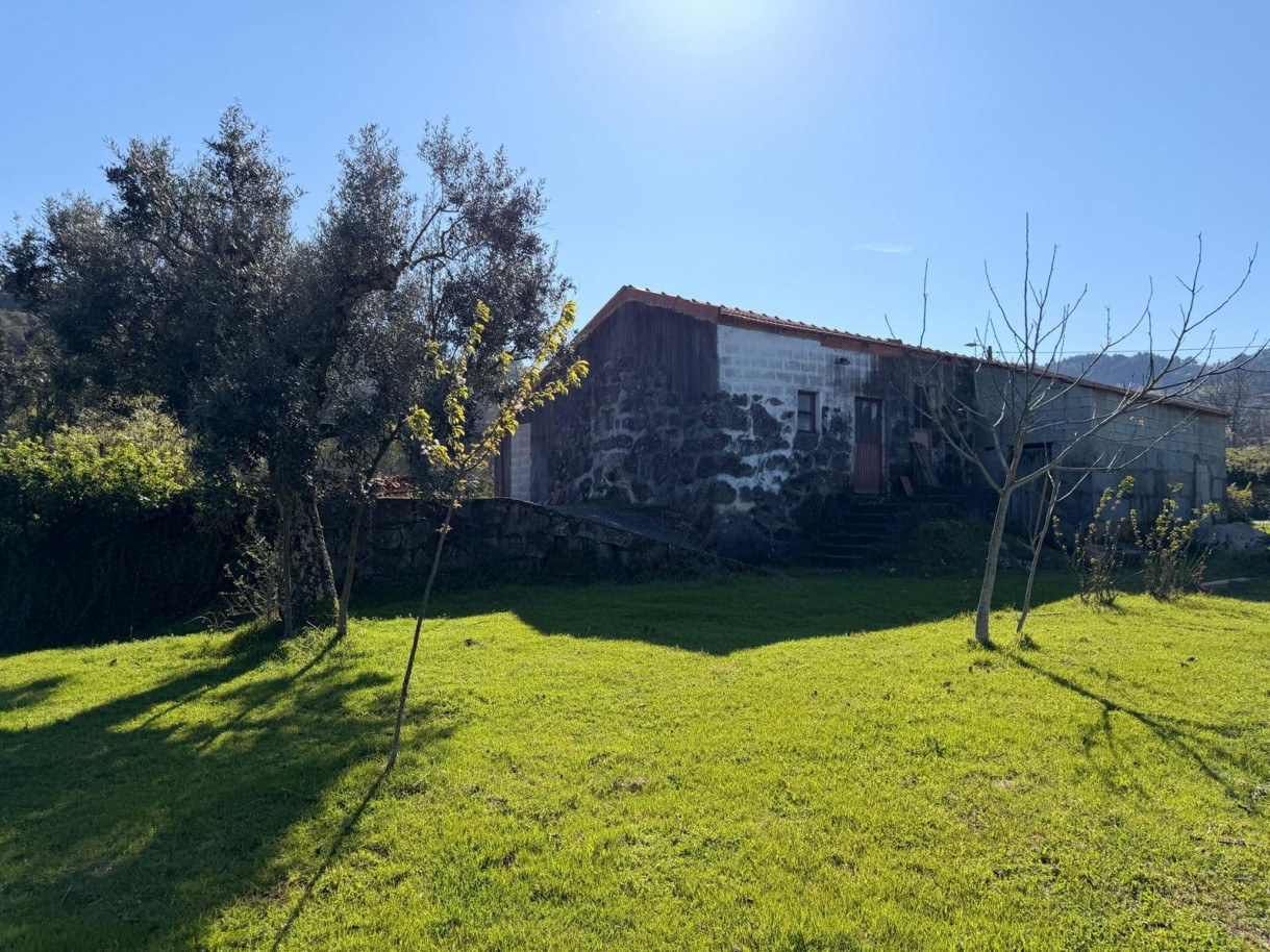 whatsapp-image-2026-03-23-at-153719-2jpeg