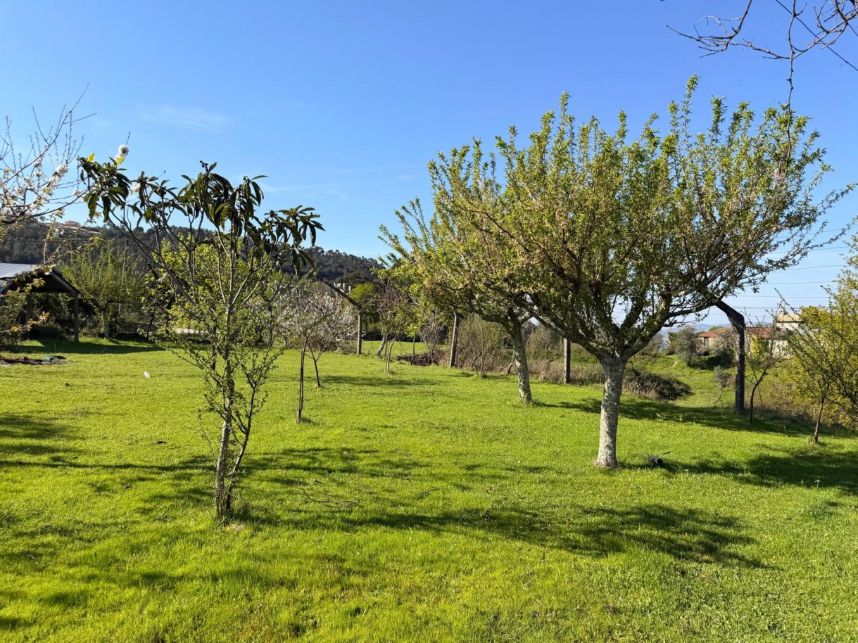 whatsapp-image-2026-03-23-at-153719-4jpeg