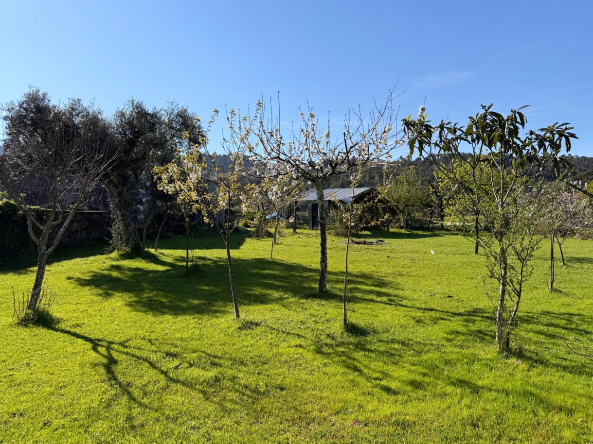 whatsapp-image-2026-03-23-at-153719-6jpeg