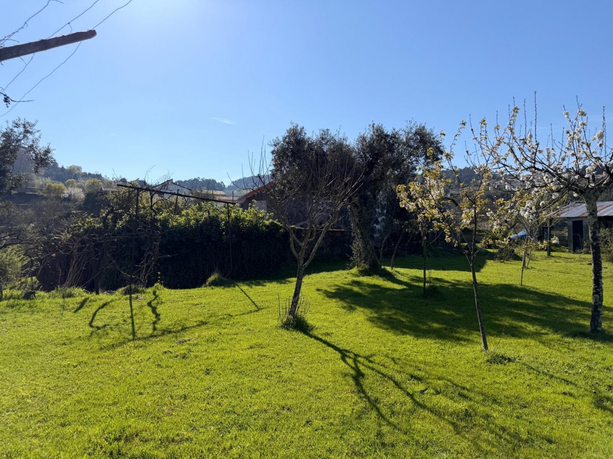 whatsapp-image-2026-03-23-at-153719-7jpeg