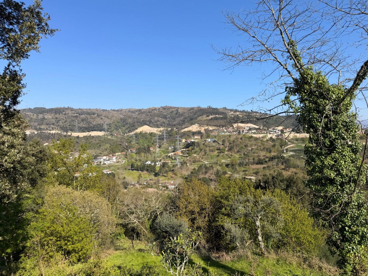 whatsapp-image-2026-03-23-at-153719-3jpeg