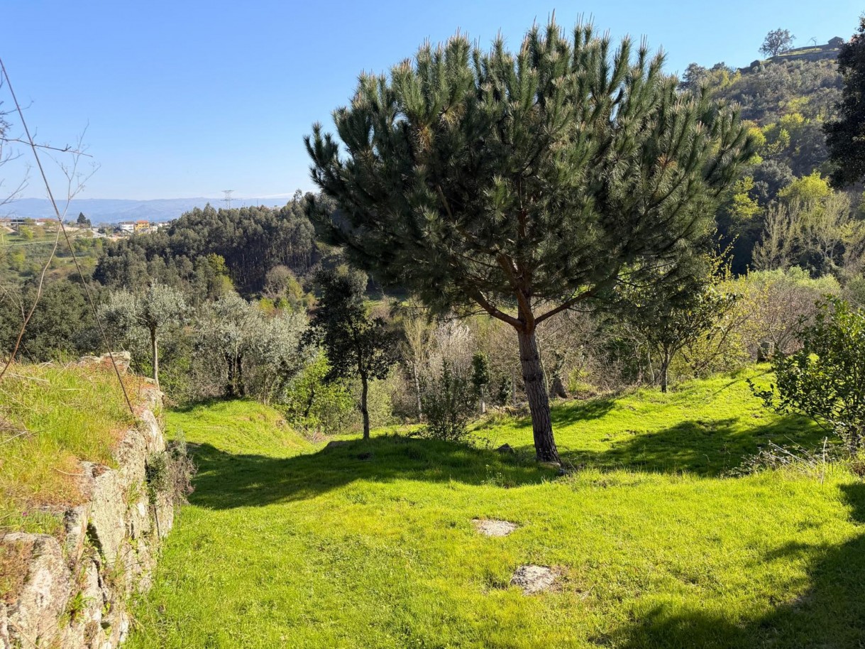 whatsapp-image-2026-03-23-at-153719-8jpeg