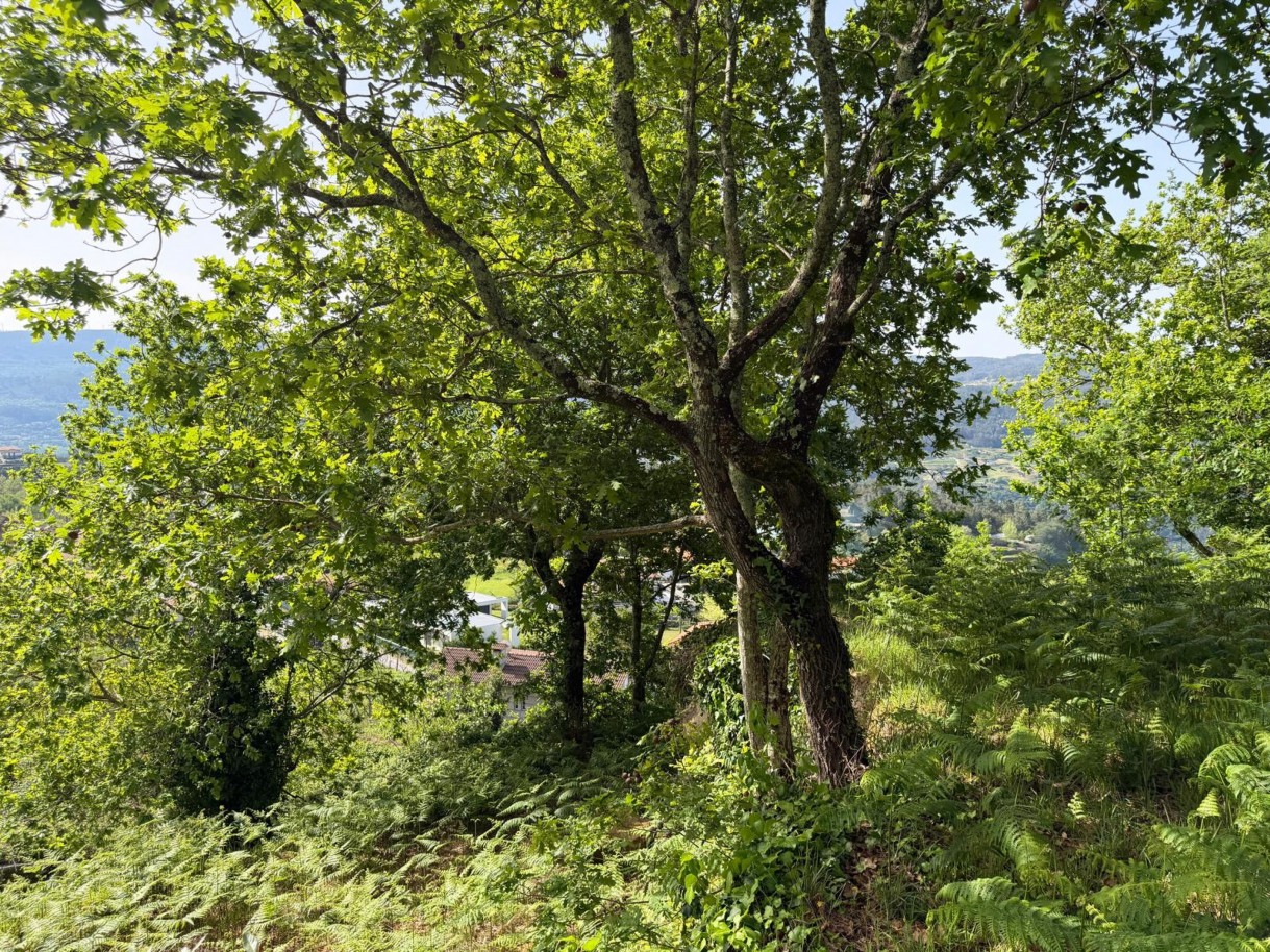 whatsapp-image-2026-04-10-at-184355-9jpeg