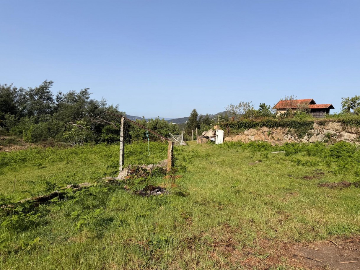 whatsapp-image-2026-04-10-at-184428-1jpeg