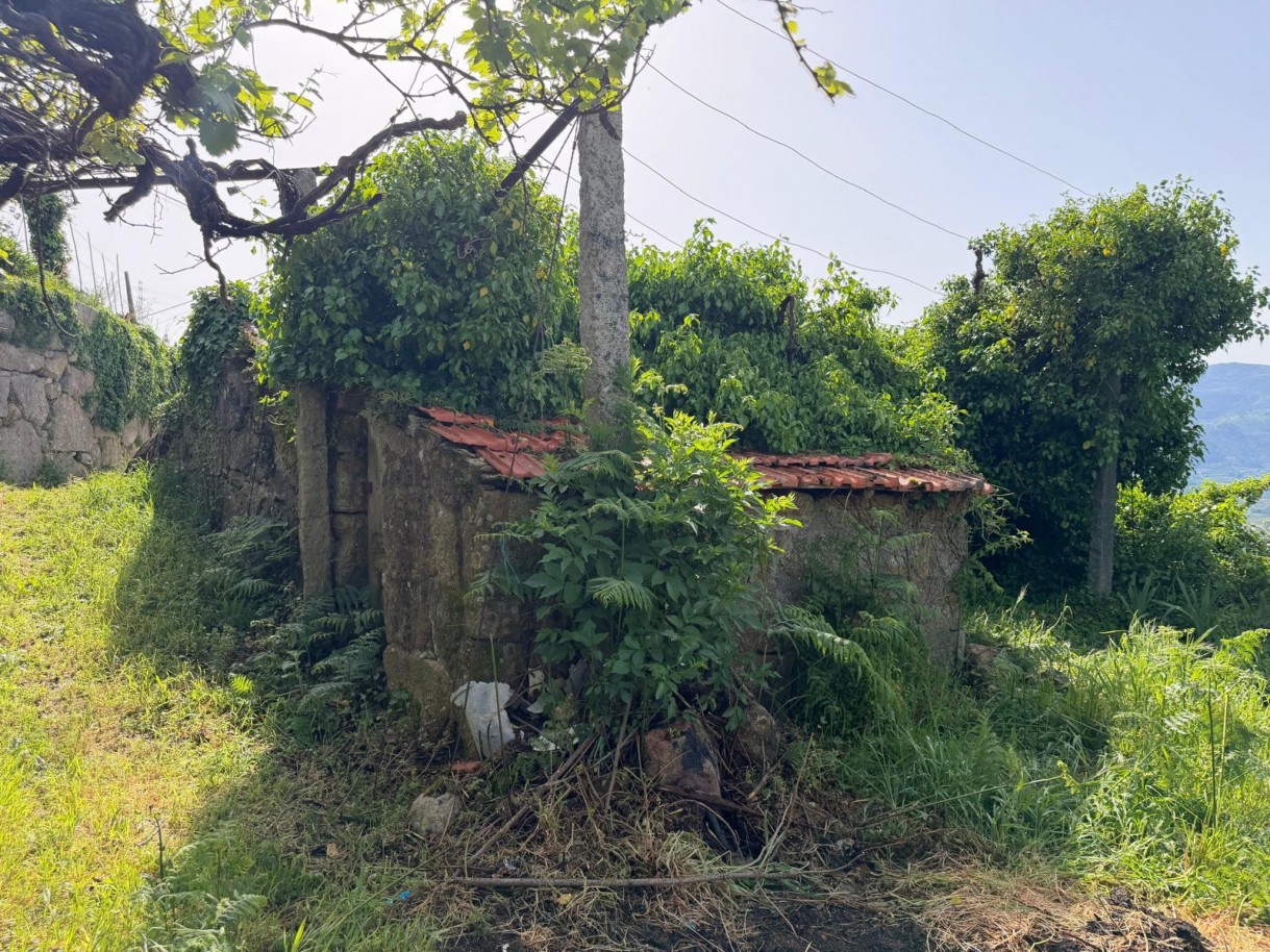 whatsapp-image-2026-04-10-at-184428-3jpeg