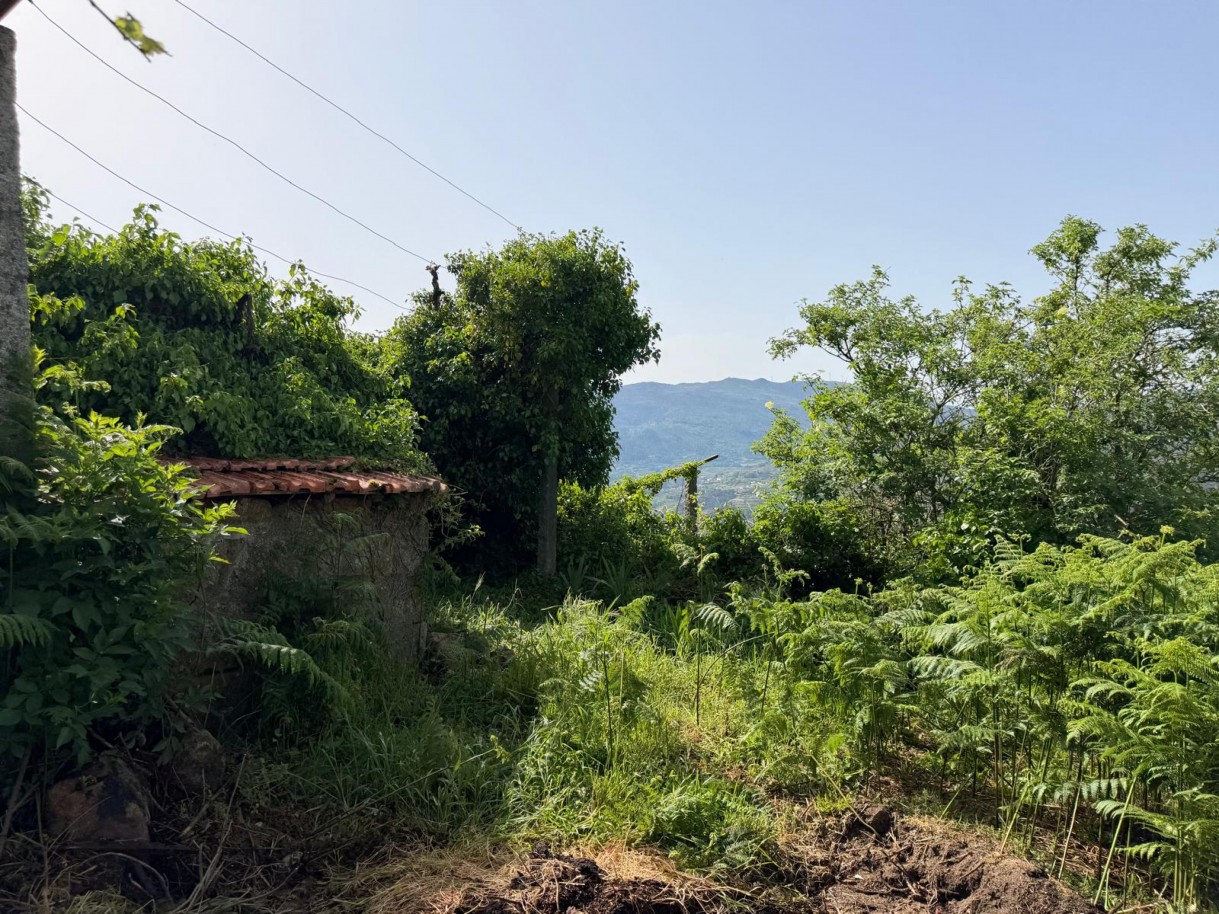 whatsapp-image-2026-04-10-at-184428-4jpeg