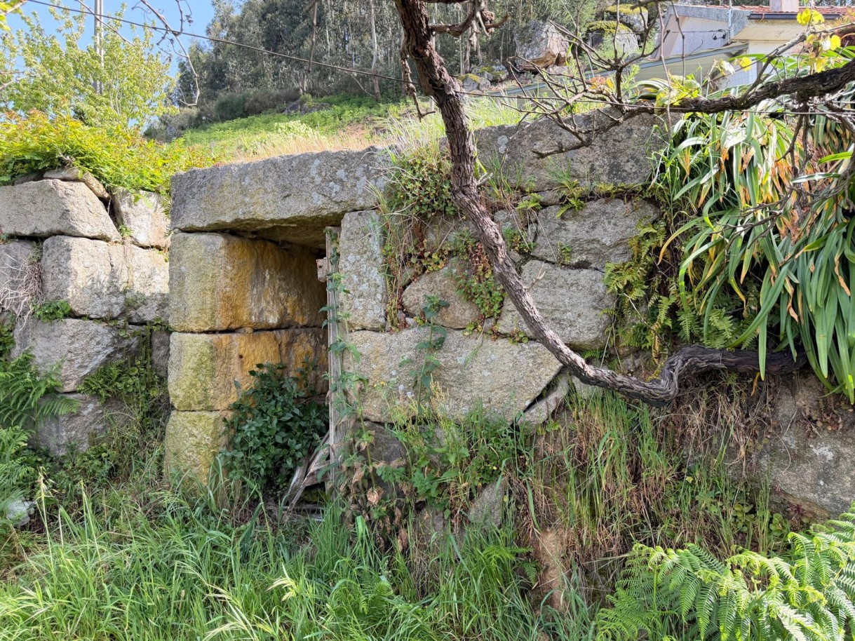 whatsapp-image-2026-04-10-at-184428-5jpeg