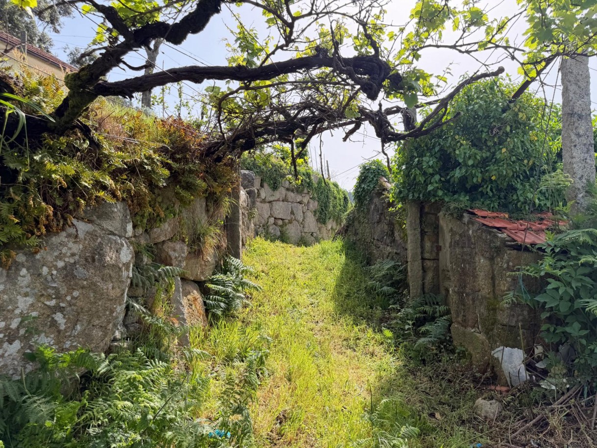 whatsapp-image-2026-04-10-at-184428-6jpeg