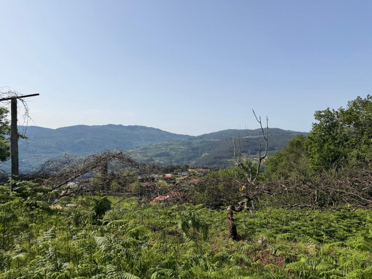 whatsapp-image-2026-04-10-at-184428-2jpeg