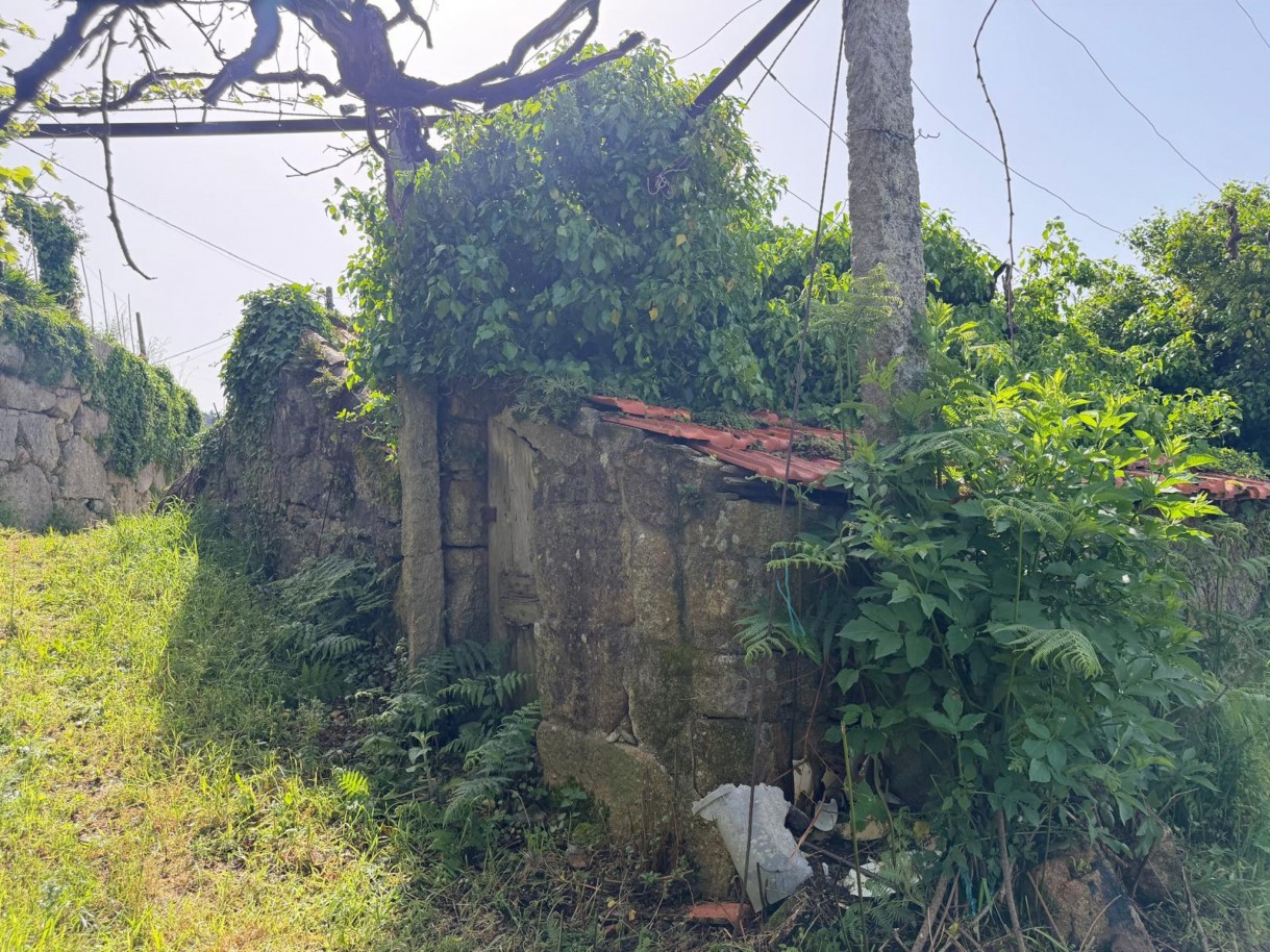 whatsapp-image-2026-04-10-at-184428-9jpeg