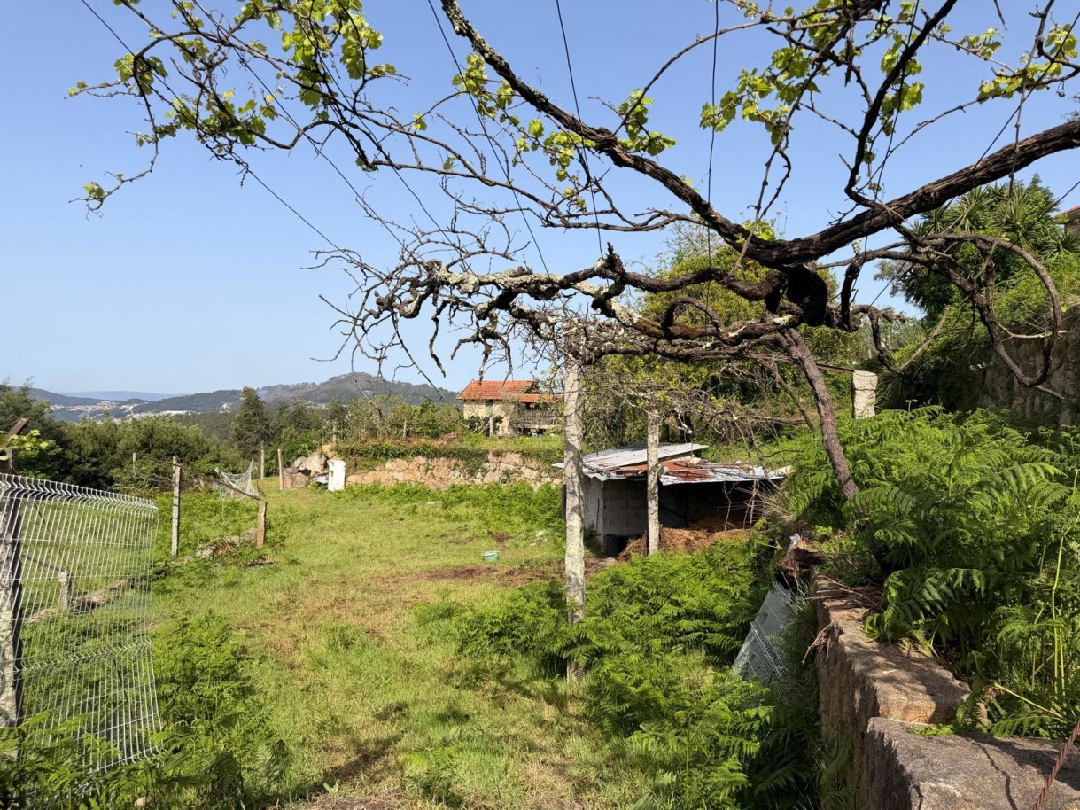 whatsapp-image-2026-04-10-at-184428-10jpeg