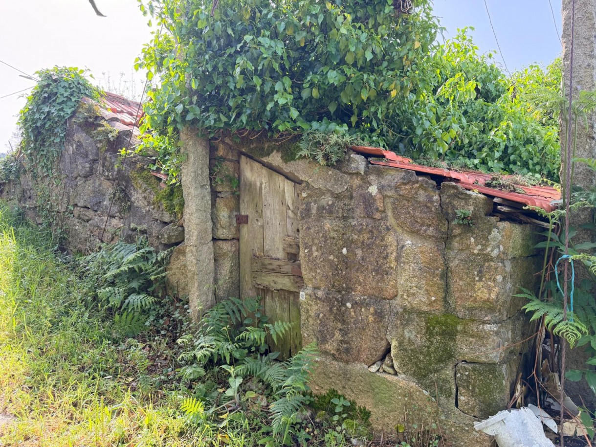 whatsapp-image-2026-04-10-at-184428-12jpeg