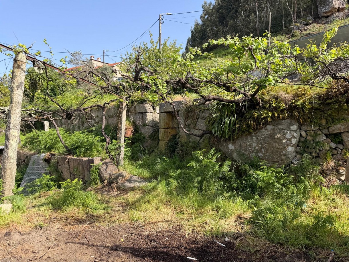 whatsapp-image-2026-04-10-at-184428-11jpeg