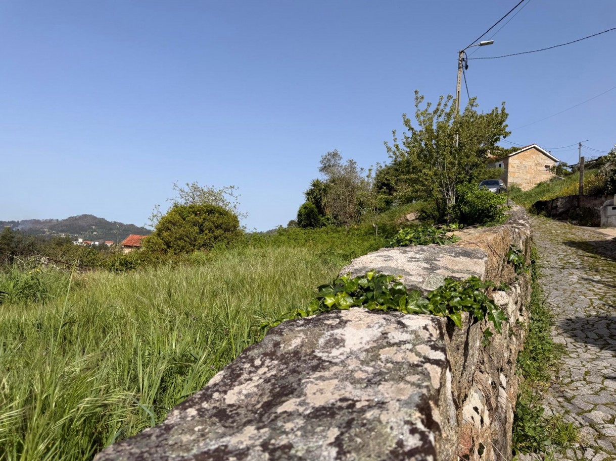 whatsapp-image-2026-04-10-at-184428-13jpeg