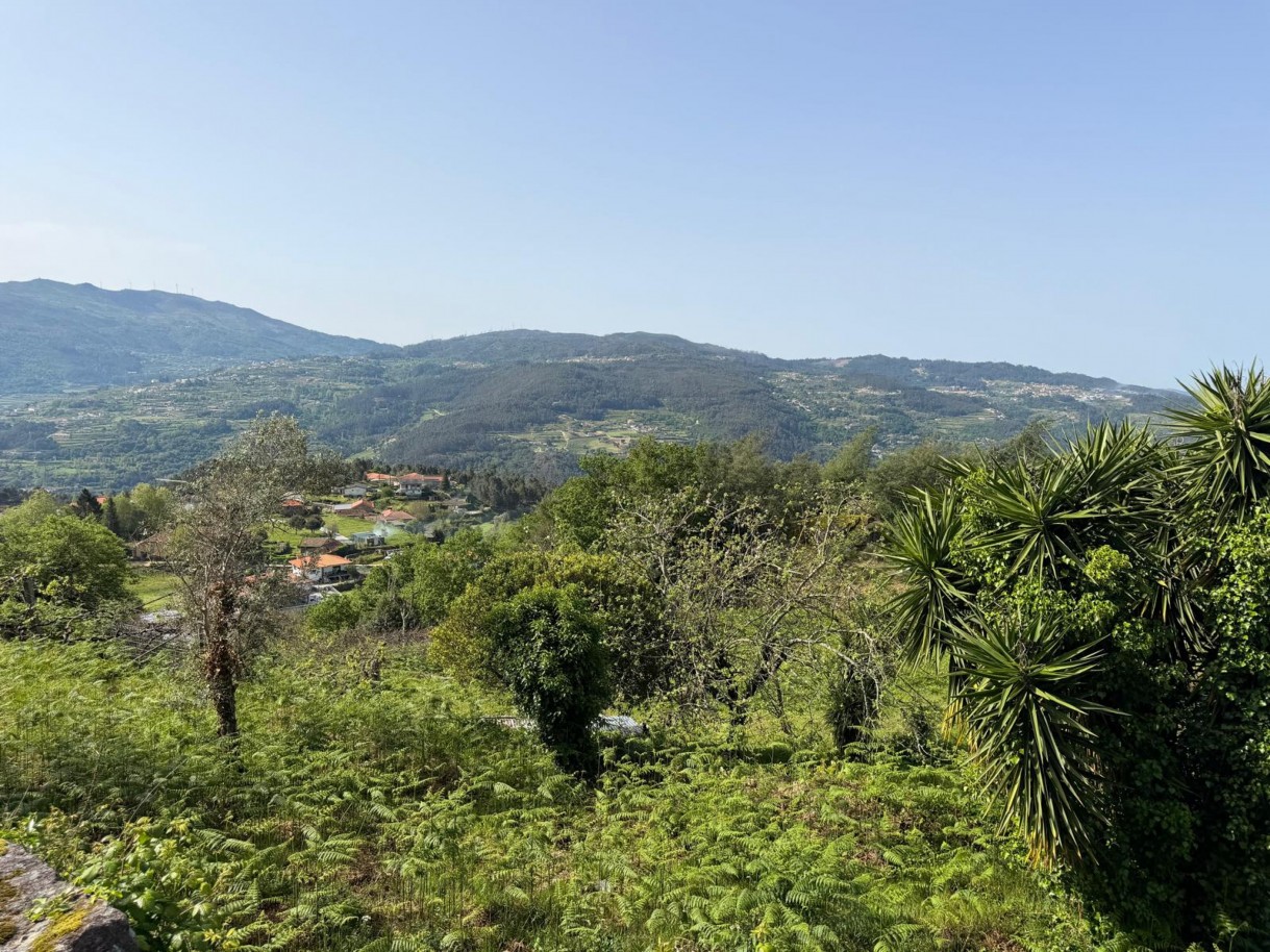 whatsapp-image-2026-04-10-at-184428-15jpeg