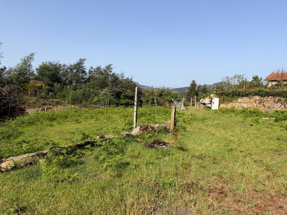 whatsapp-image-2026-04-10-at-184428jpeg