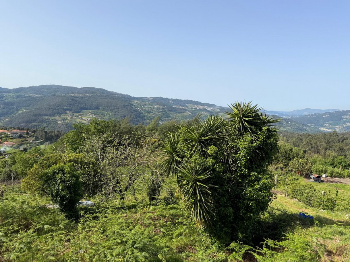 whatsapp-image-2026-04-10-at-184428-16jpeg