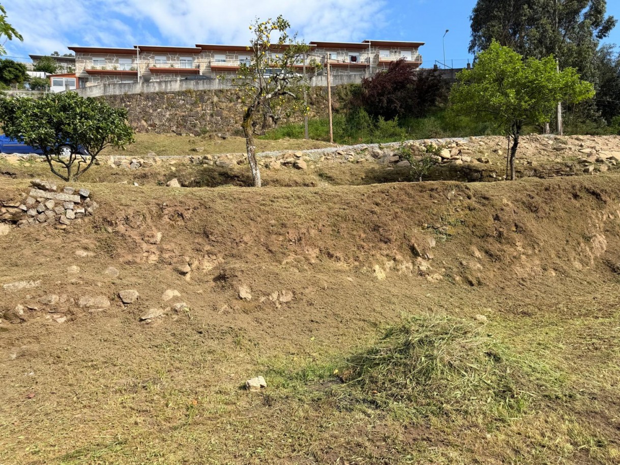 whatsapp-image-2026-04-12-at-194712-8jpeg