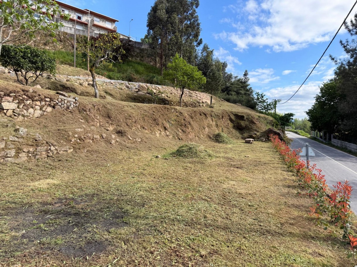 whatsapp-image-2026-04-12-at-194713-1jpeg