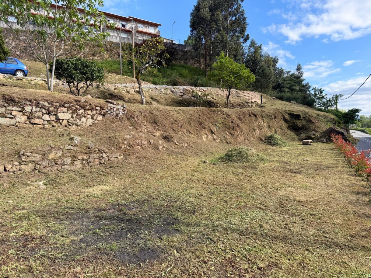 whatsapp-image-2026-04-12-at-194713-2jpeg