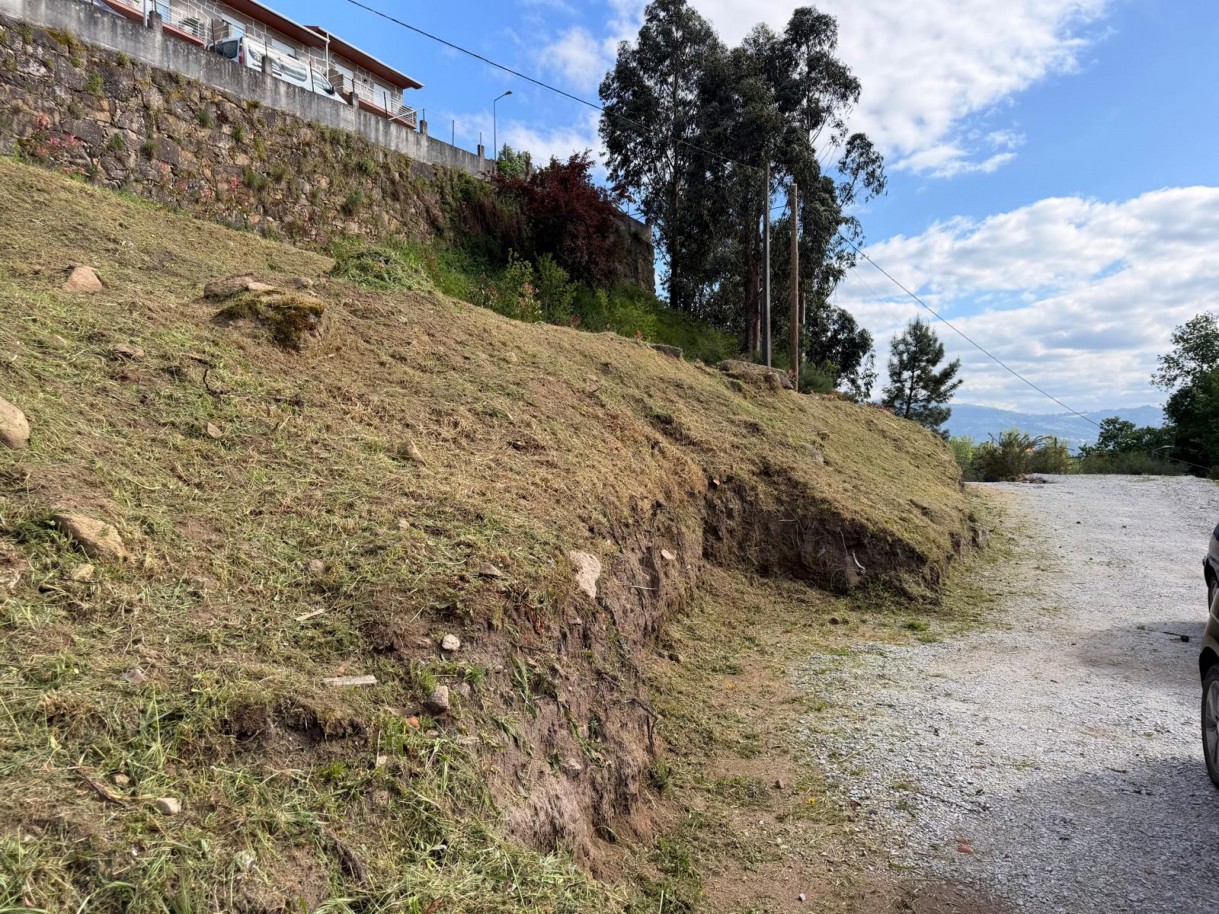 whatsapp-image-2026-04-12-at-194713-4jpeg