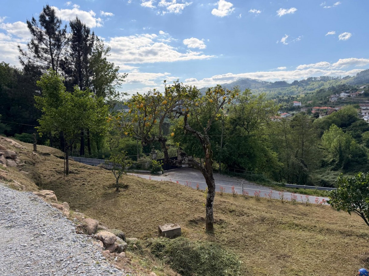 whatsapp-image-2026-04-12-at-194713-6jpeg