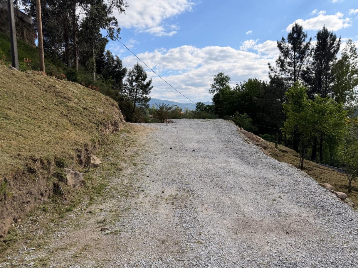 whatsapp-image-2026-04-12-at-194713-5jpeg