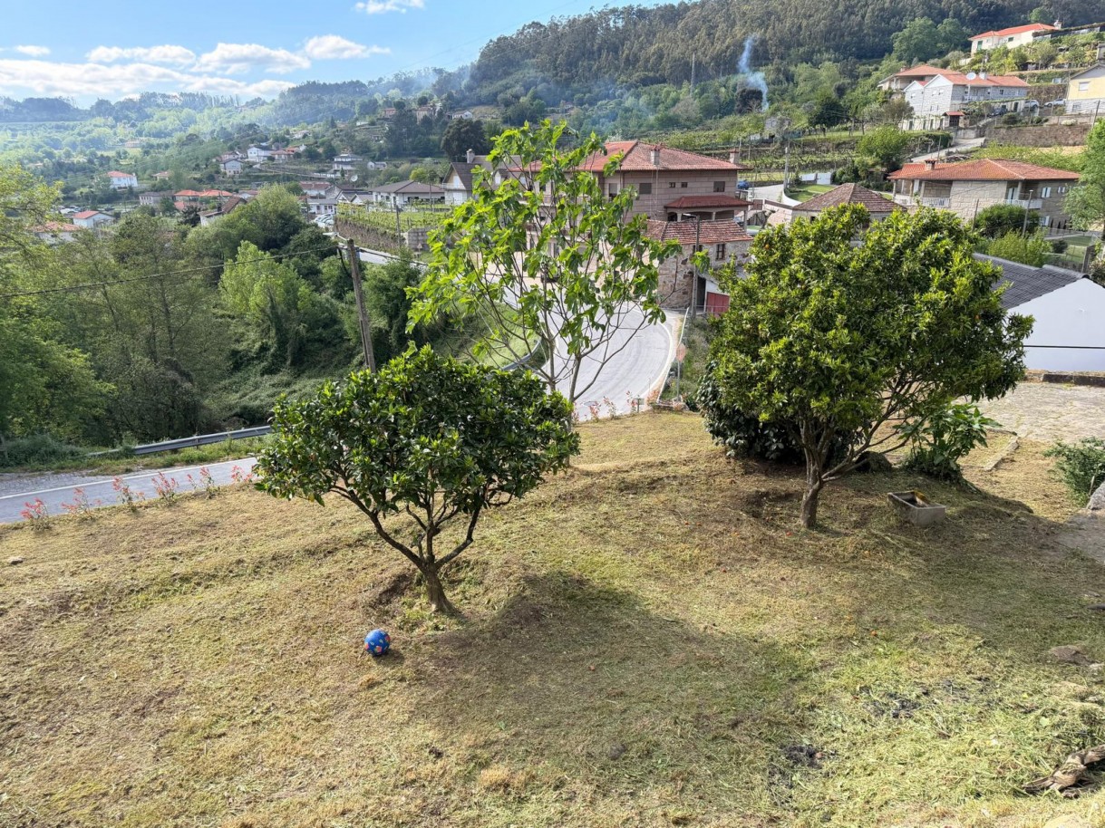 whatsapp-image-2026-04-12-at-194713-12jpeg