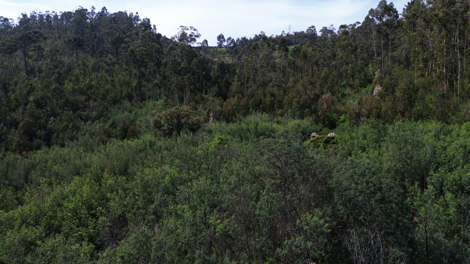 whatsapp-image-2026-04-16-at-165504-1jpeg