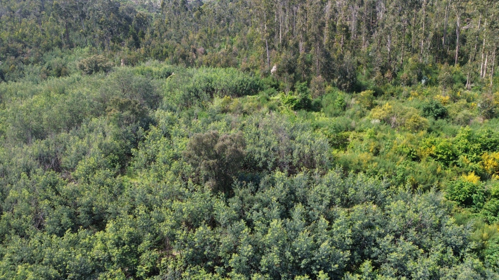 whatsapp-image-2026-04-16-at-165504-3jpeg