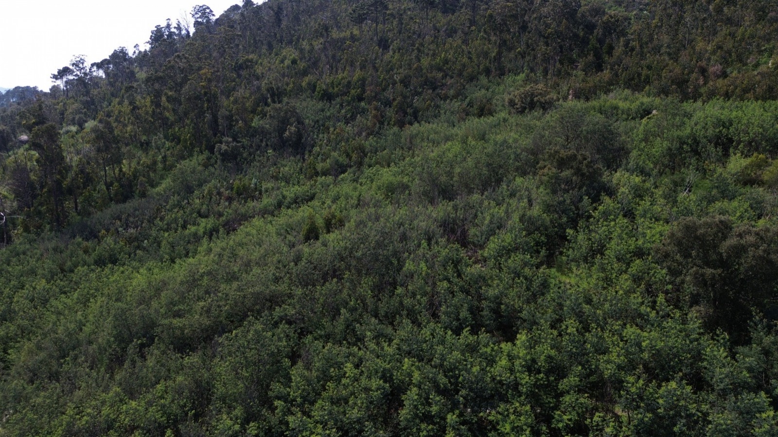 whatsapp-image-2026-04-16-at-165504-4jpeg