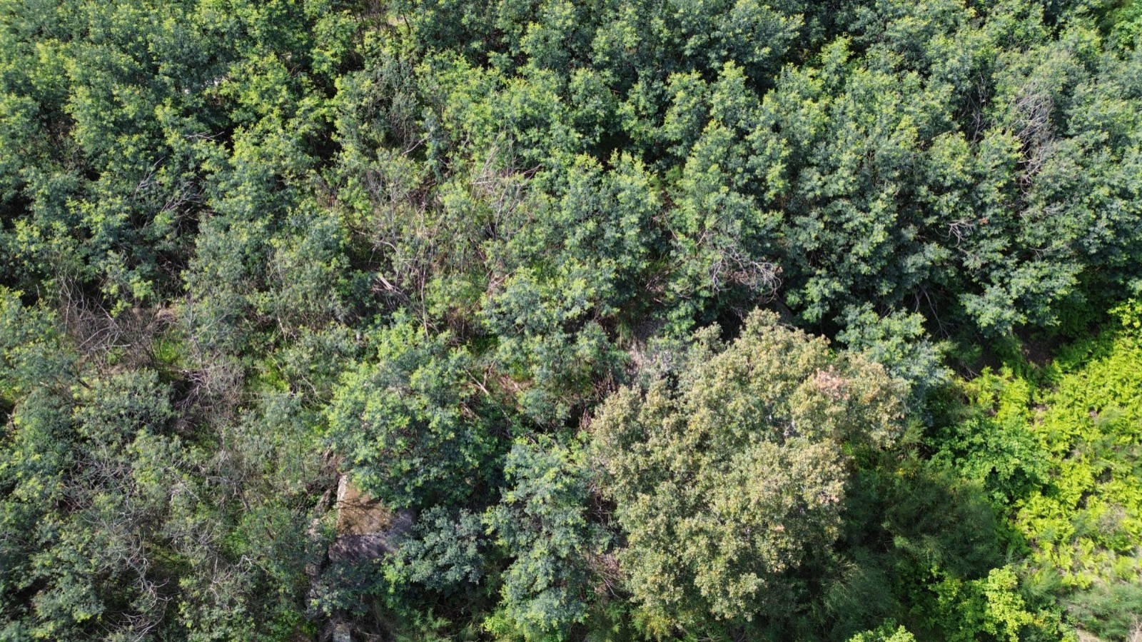 whatsapp-image-2026-04-16-at-165504-2jpeg