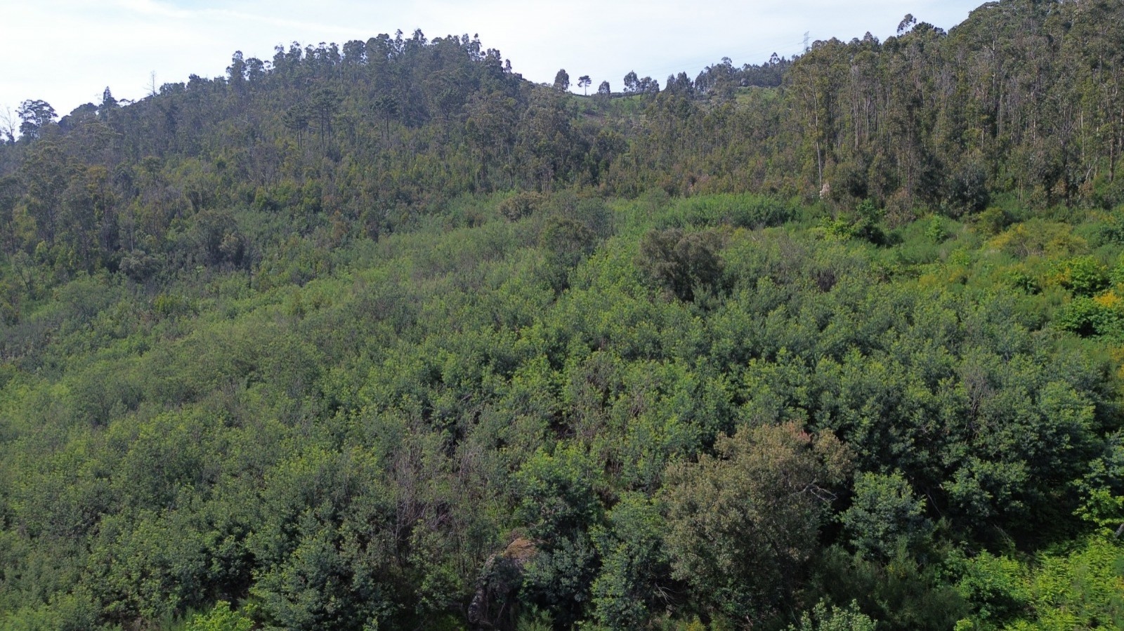 whatsapp-image-2026-04-16-at-165504-6jpeg