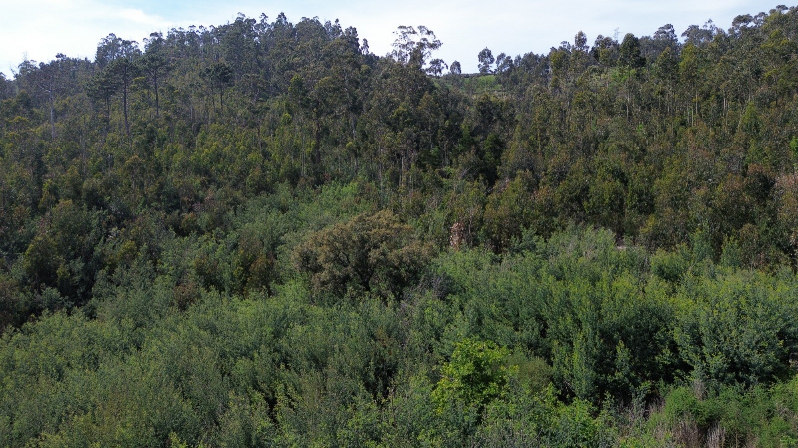 whatsapp-image-2026-04-16-at-165504jpeg