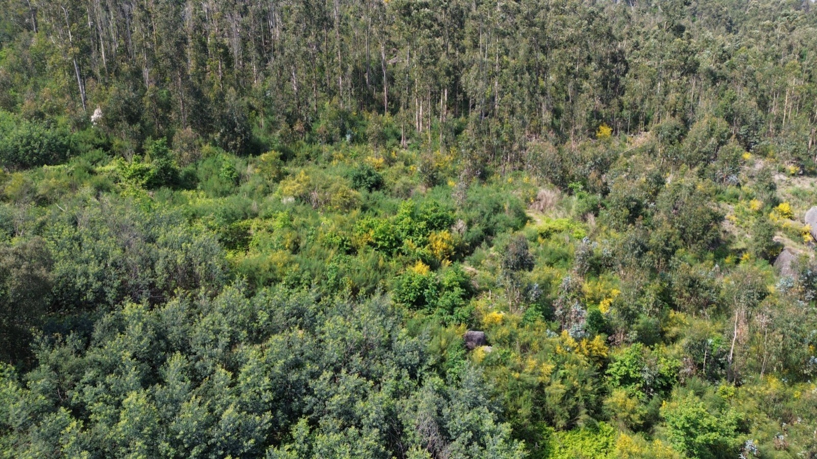 whatsapp-image-2026-04-16-at-165504-5jpeg