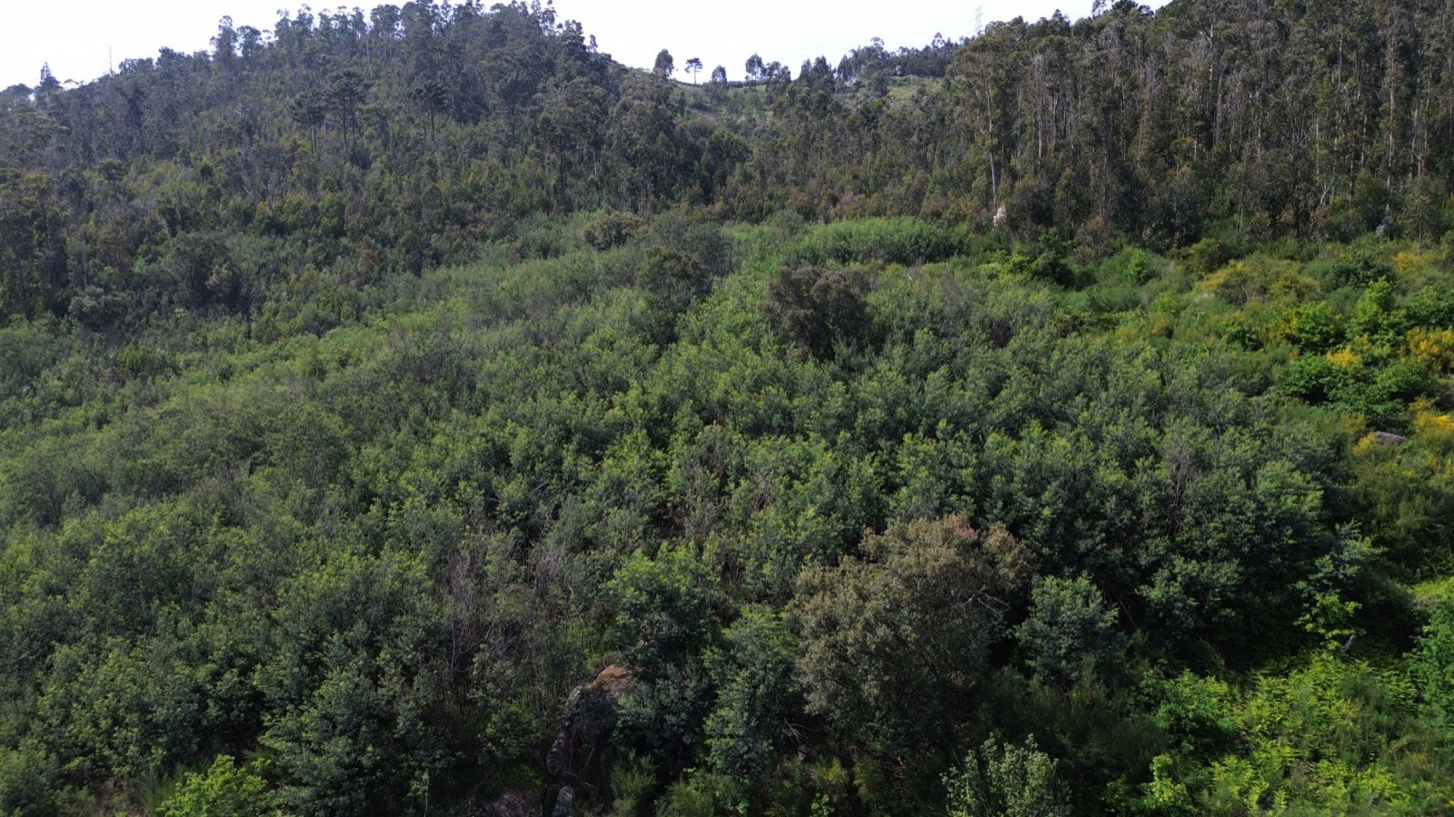 whatsapp-image-2026-04-16-at-165505-1jpeg