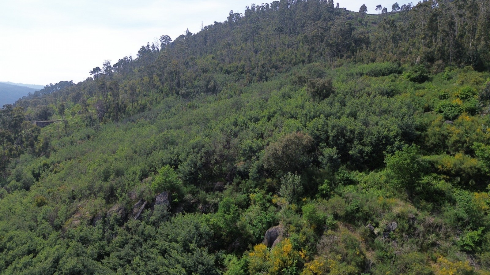 whatsapp-image-2026-04-16-at-165505-2jpeg