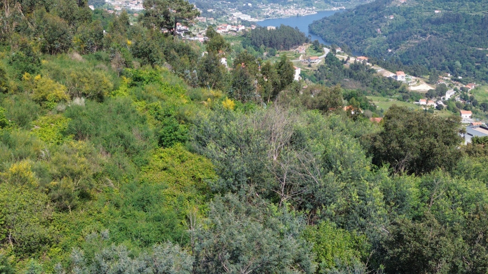 whatsapp-image-2026-04-16-at-165505-8jpeg