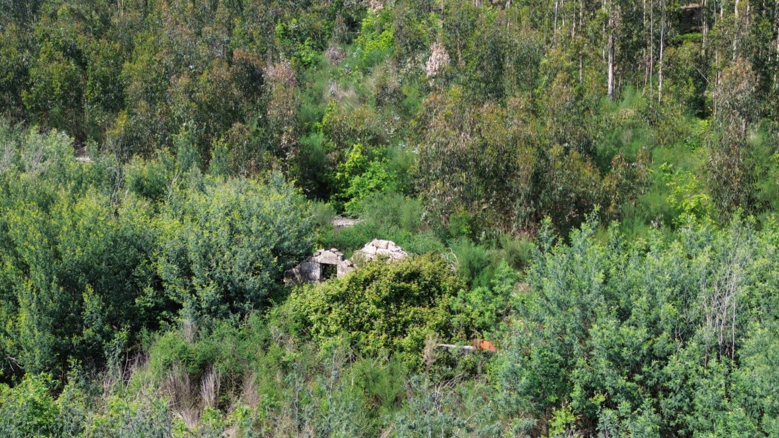 whatsapp-image-2026-04-16-at-165505-9jpeg