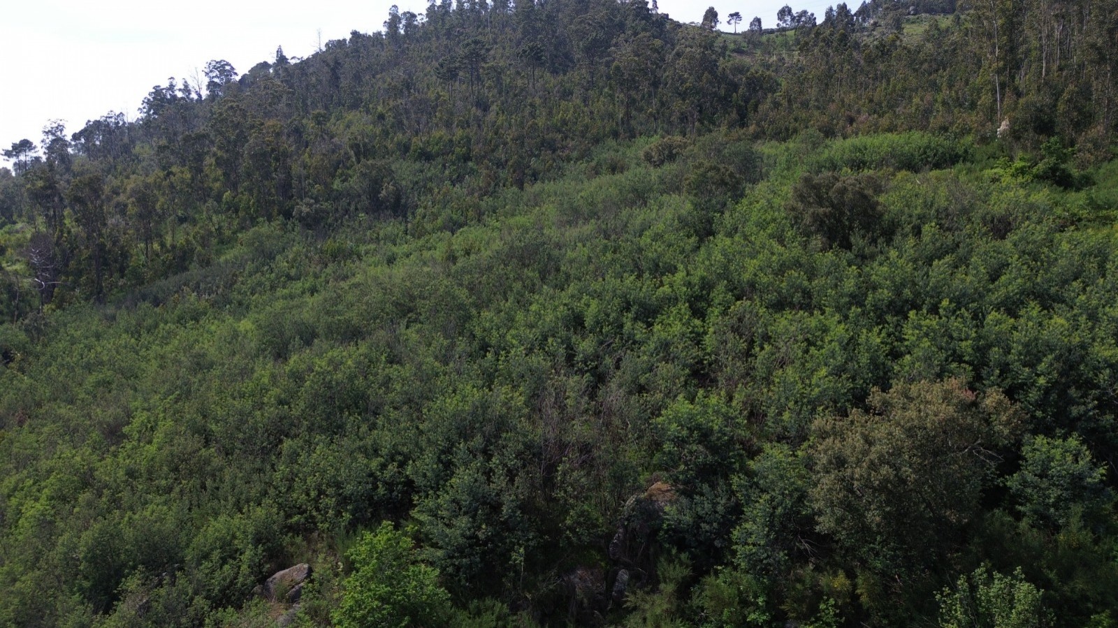 whatsapp-image-2026-04-16-at-165505jpeg