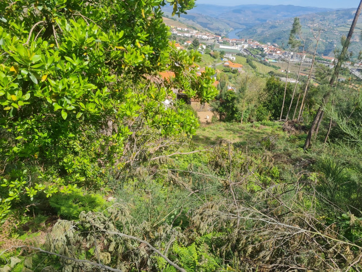 whatsapp-image-2026-04-22-at-104417-1jpeg