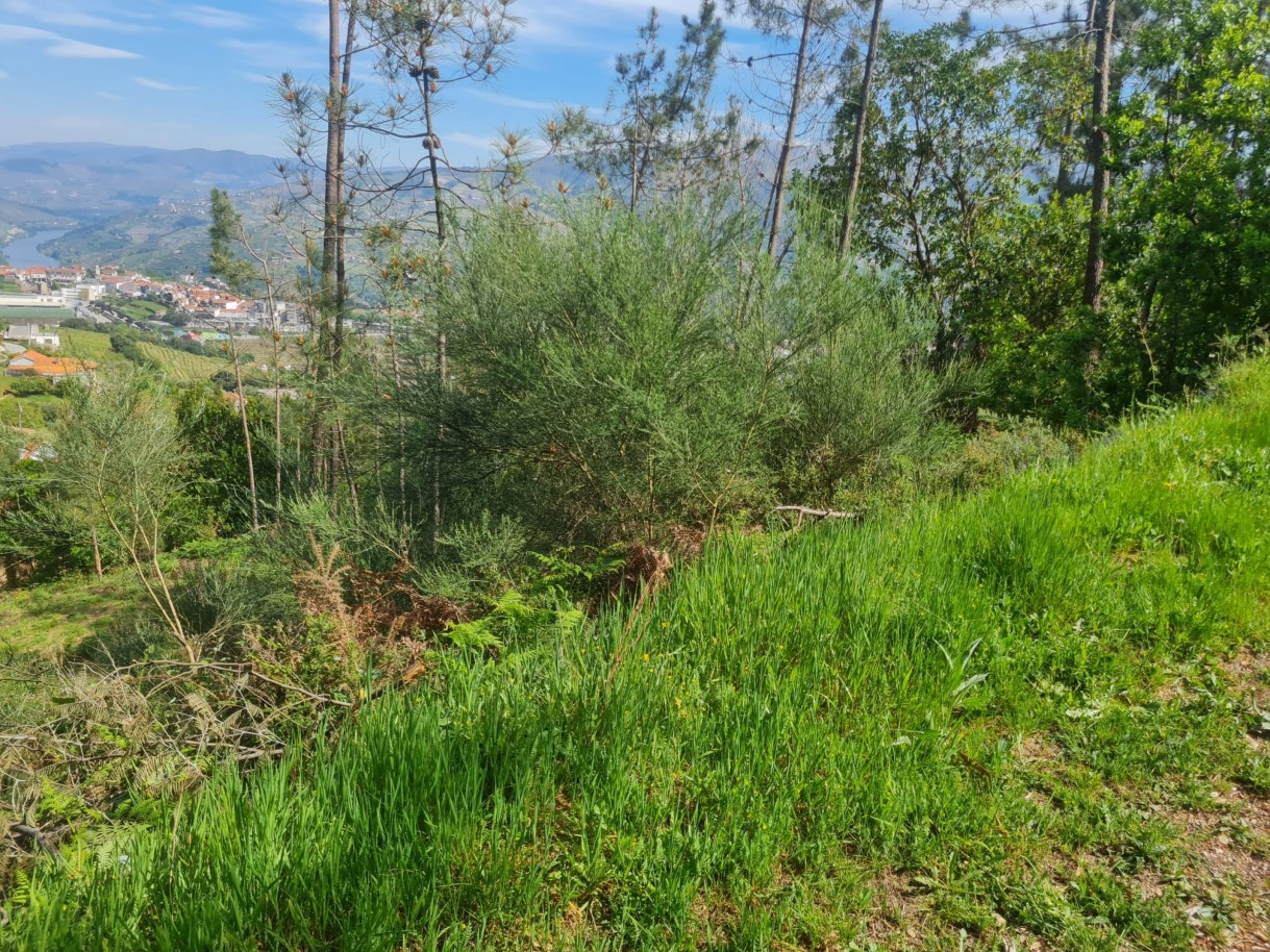 whatsapp-image-2026-04-22-at-104417-2jpeg