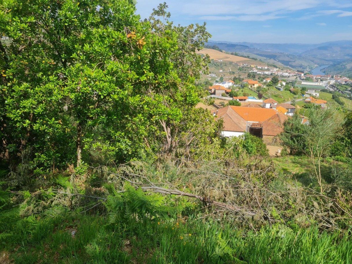 whatsapp-image-2026-04-22-at-104417-3jpeg