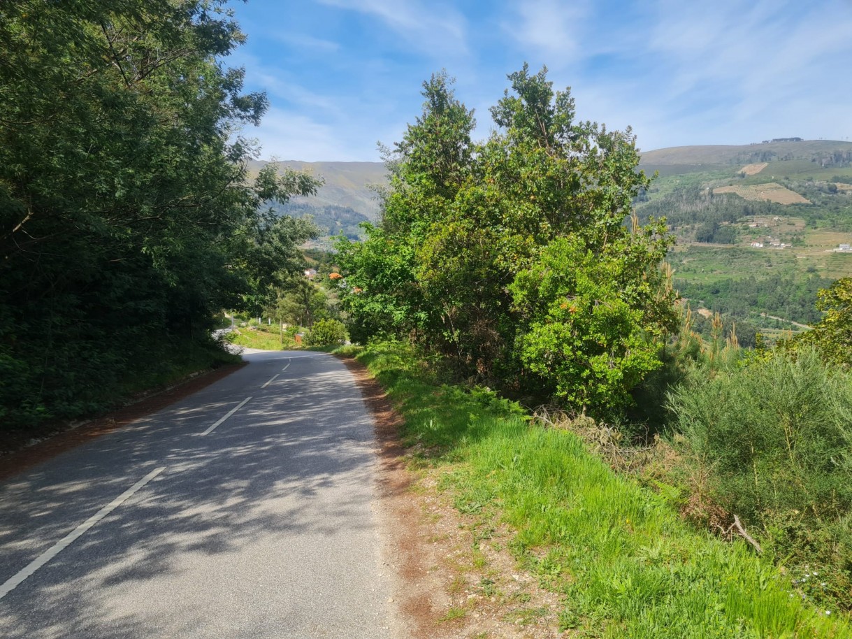 whatsapp-image-2026-04-22-at-104417-4jpeg