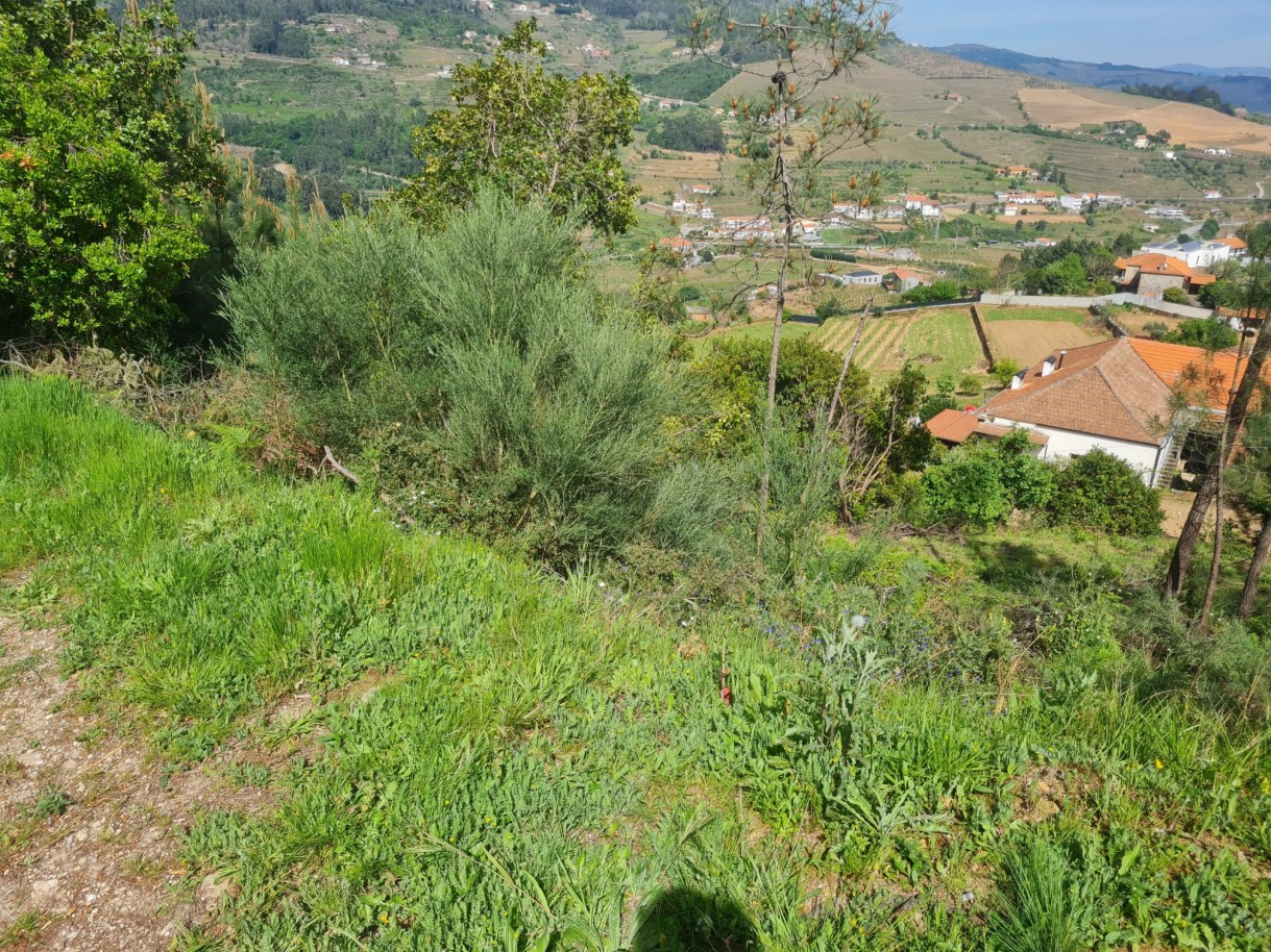 whatsapp-image-2026-04-22-at-104419-1jpeg