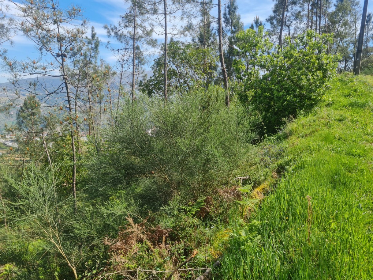 whatsapp-image-2026-04-22-at-104417jpeg