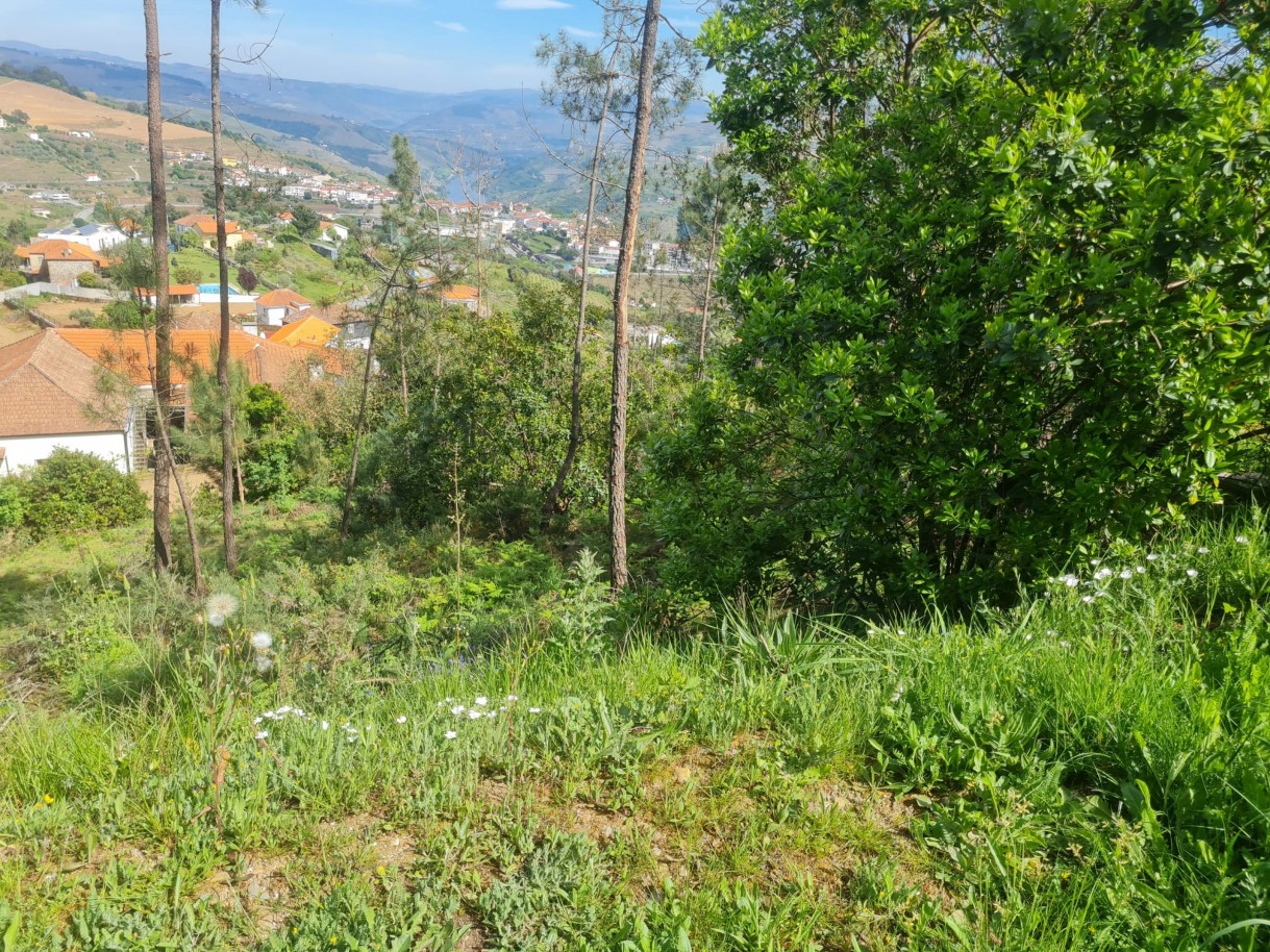 whatsapp-image-2026-04-22-at-104419-3jpeg